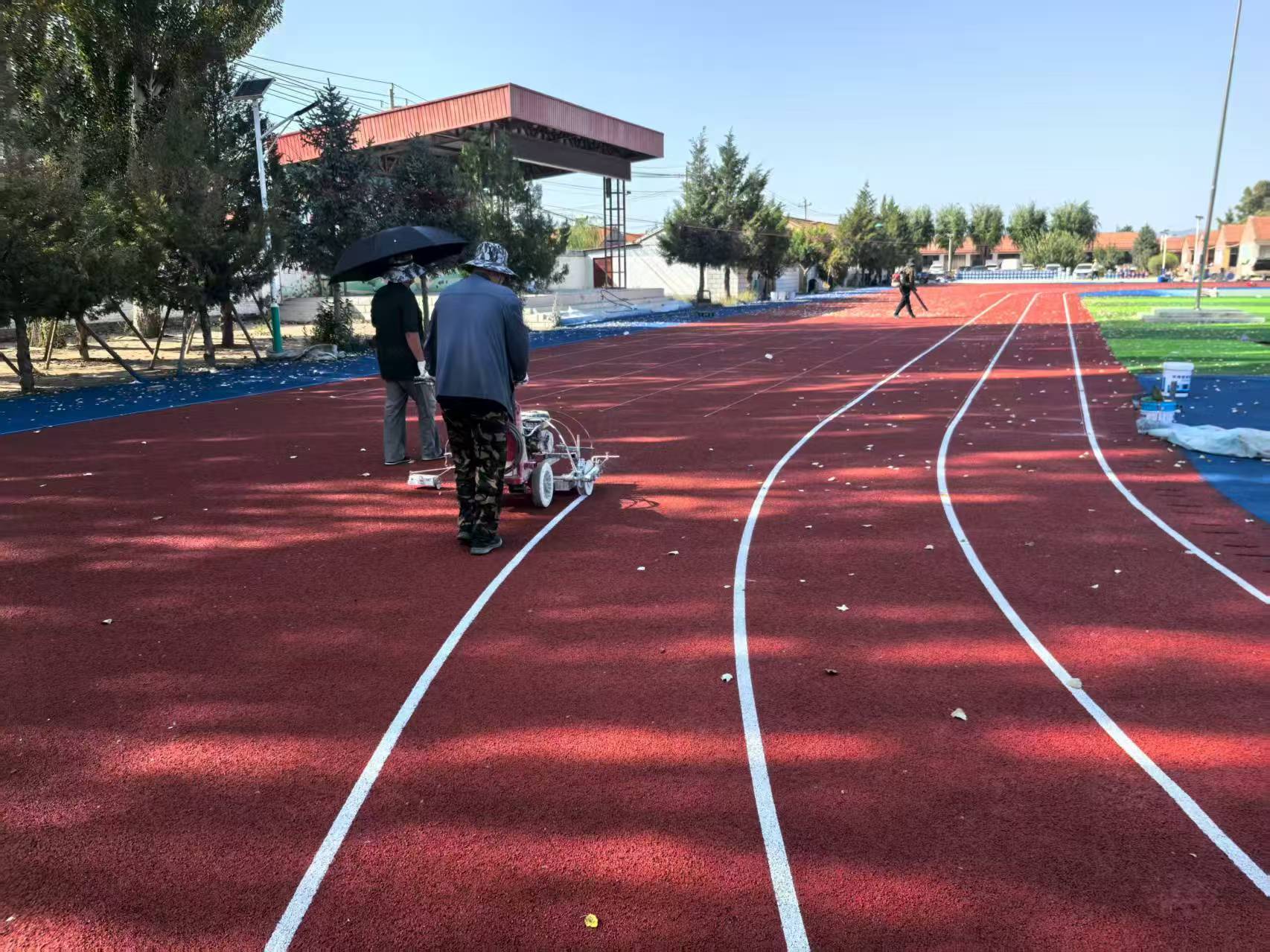 阜新市EPDM塑胶跑道塑胶跑道材料 - 价格